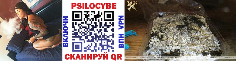 Купить где  Шацк  Псилоцибиновые грибы MAGIC MUSHROOMS 